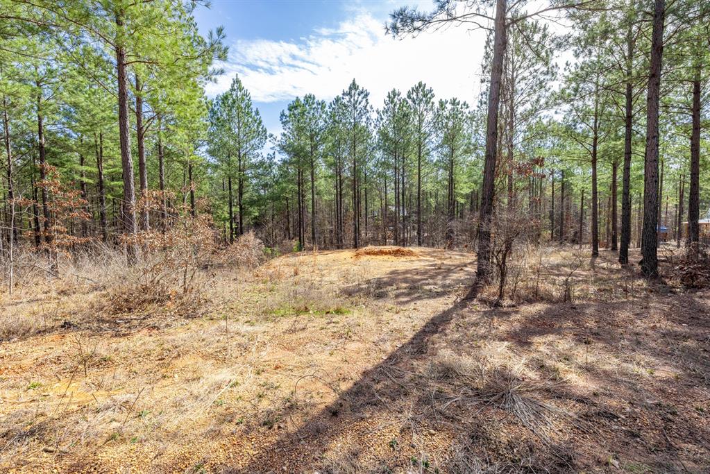 224 Cedar Hills Trail