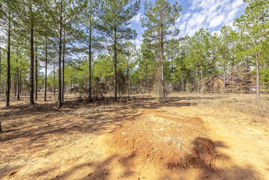 224 Cedar Hills Trail
