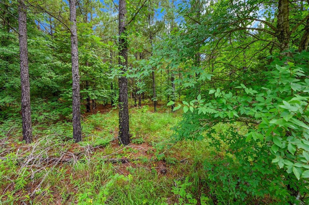 62 Boulder Ridge
