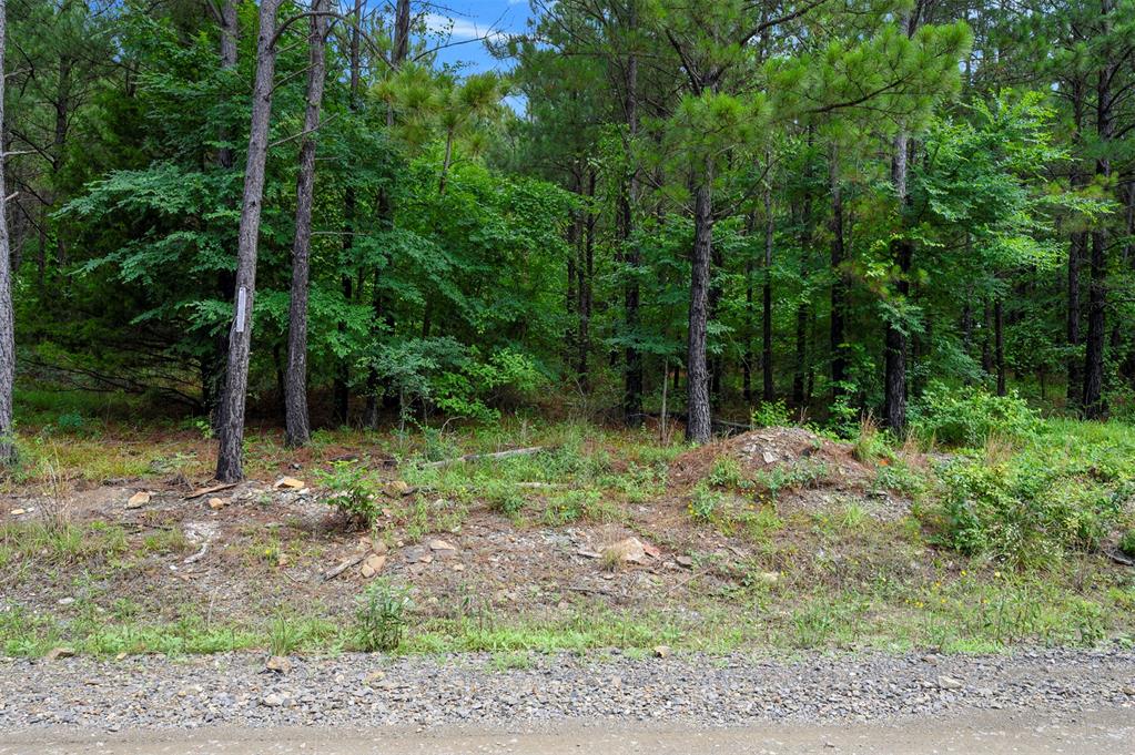 62 Boulder Ridge