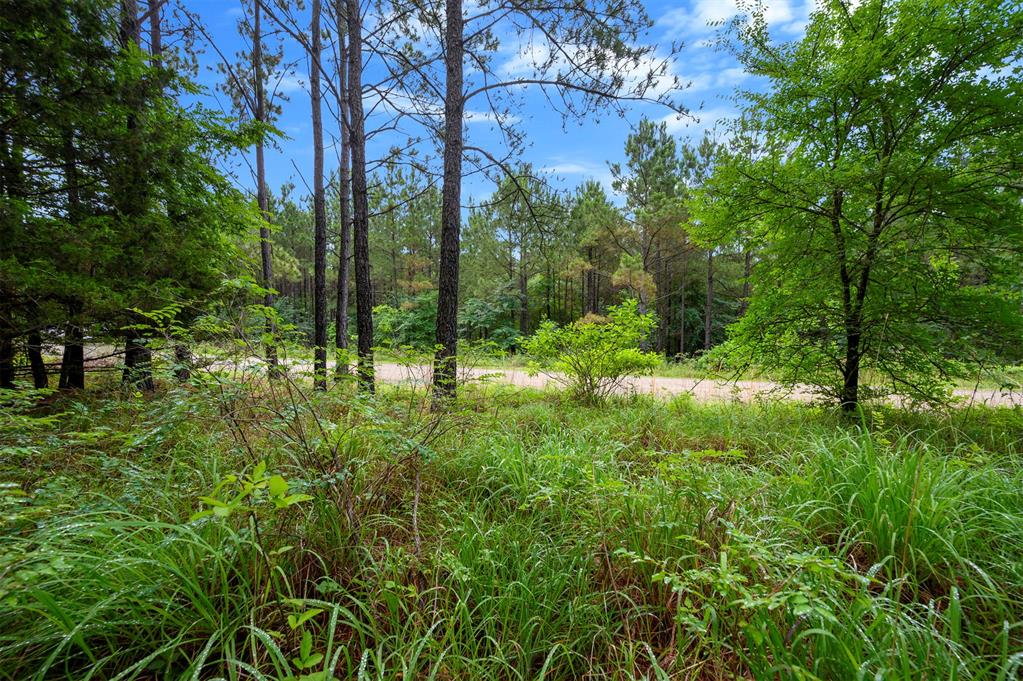 62 Boulder Ridge