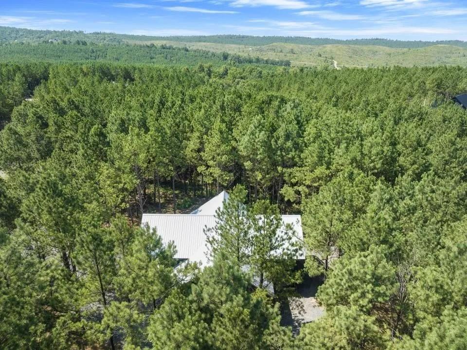 285 Bear Pine Trail