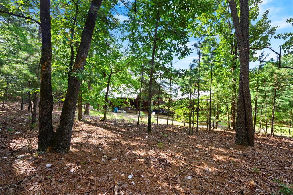 315 Banjo Lane