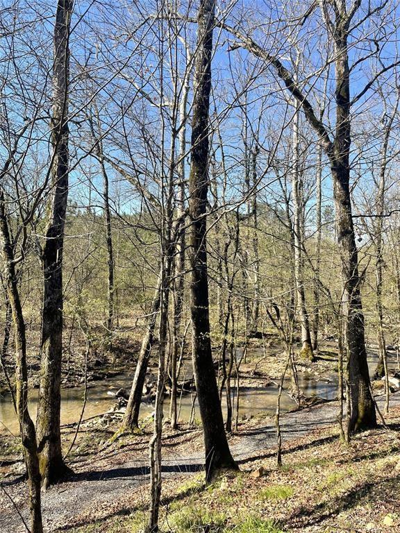 118 Hidden Pines Loop