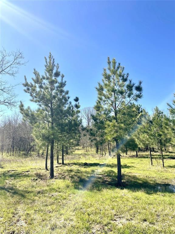 118 Hidden Pines Loop