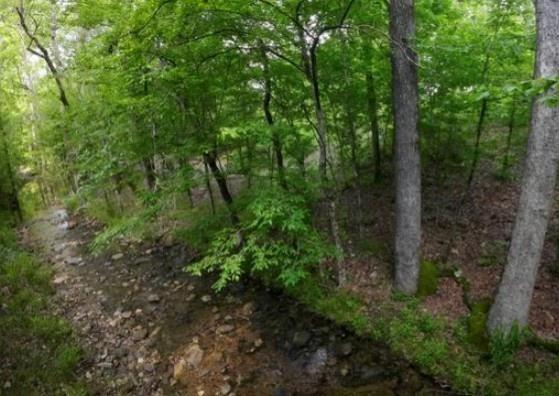 118 Hidden Pines Loop