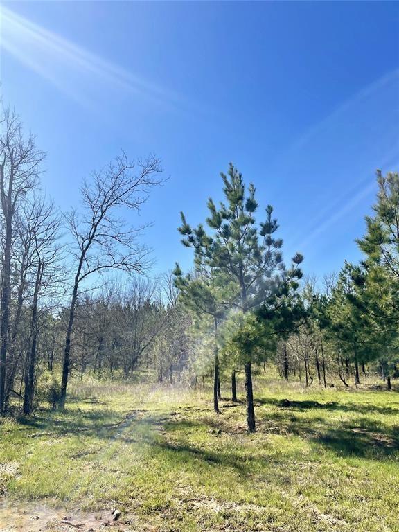 118 Hidden Pines Loop