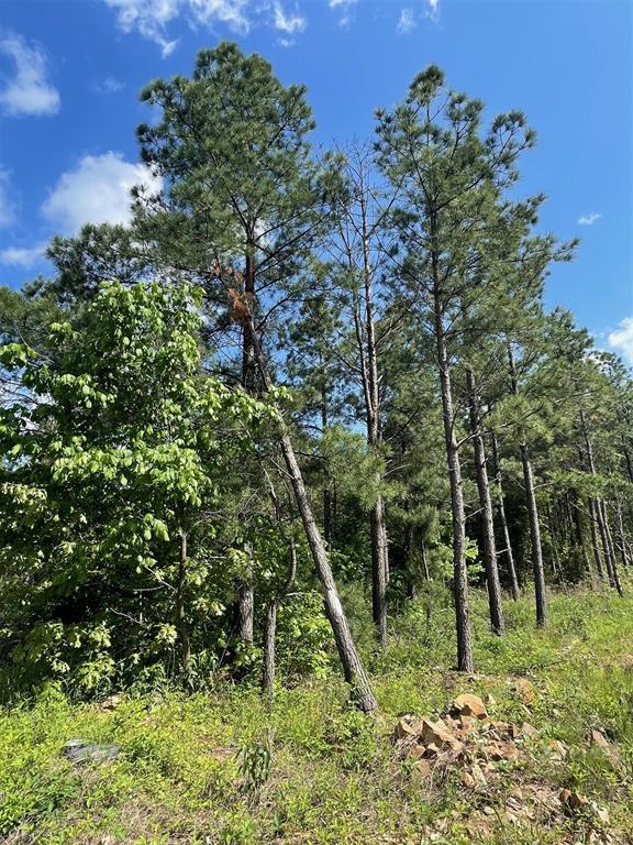 164 Timberline Trail