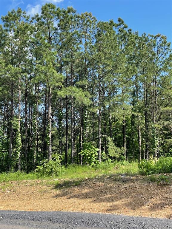 164 Timberline Trail