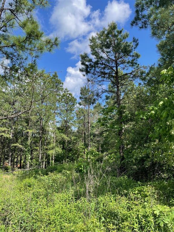 164 Timberline Trail