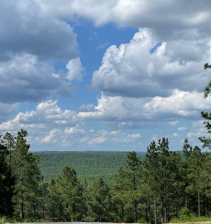 164 Timberline Trail