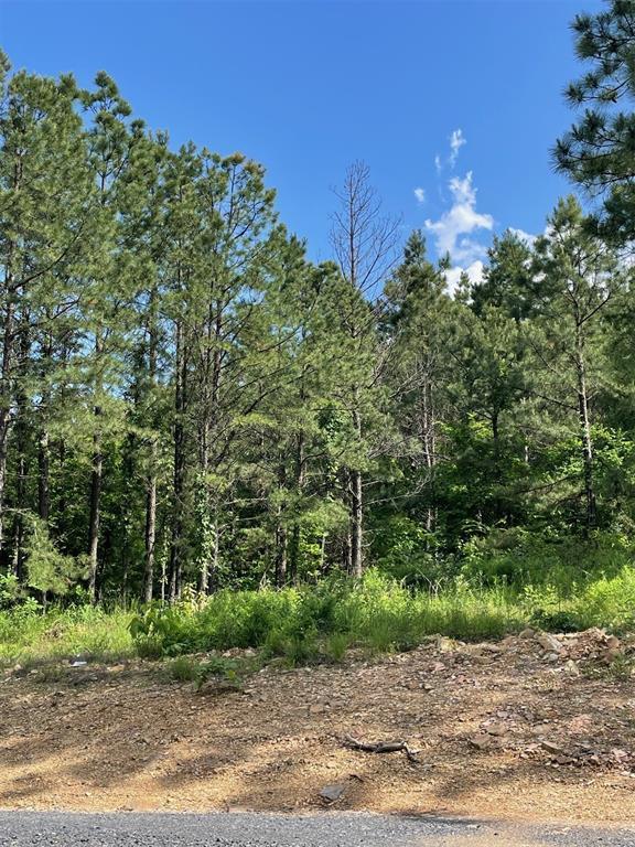164 Timberline Trail