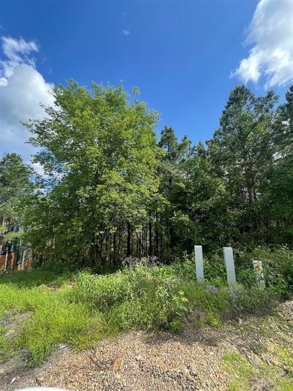 164 Timberline Trail