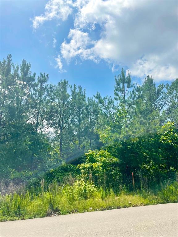364 Sugarberry Trail