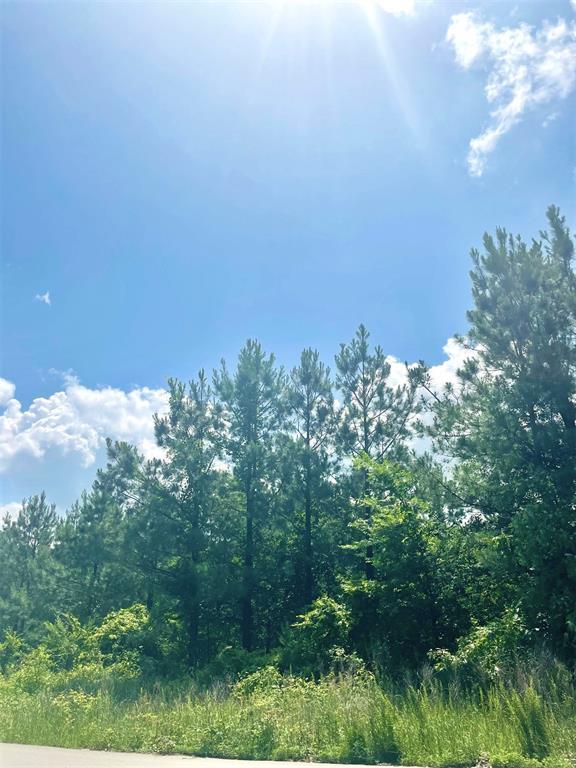 364 Sugarberry Trail