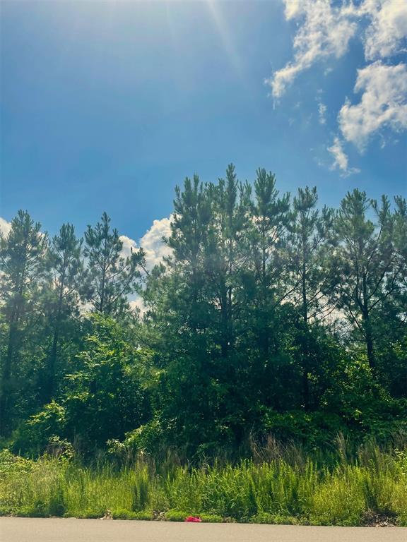 364 Sugarberry Trail