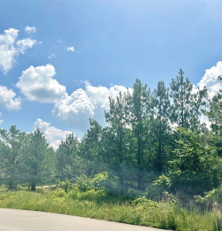 364 Sugarberry Trail