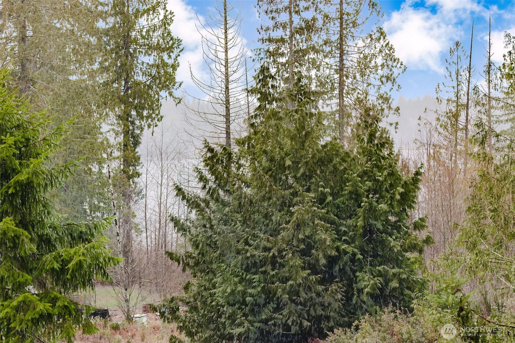 13607 W Raven Lane