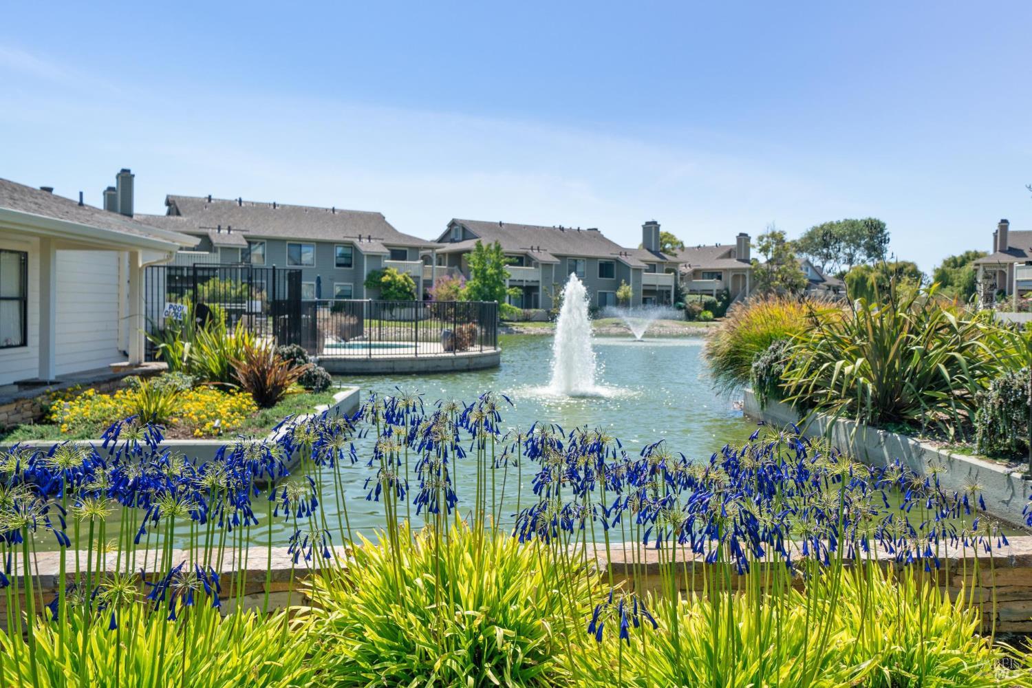 243 Shoreline Ct