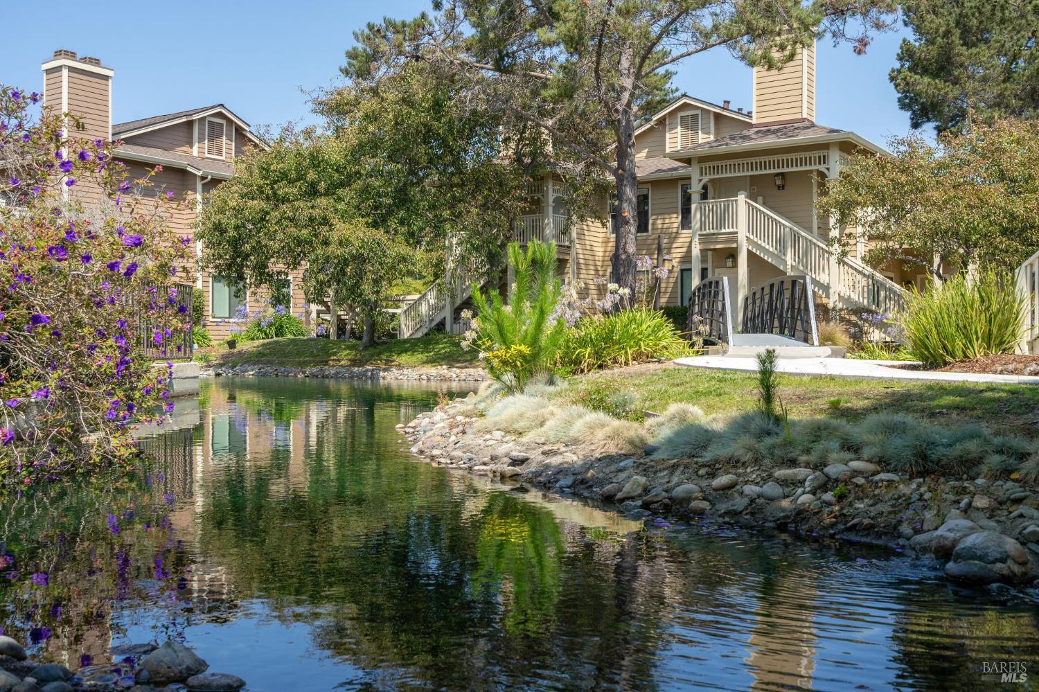 243 Shoreline Ct