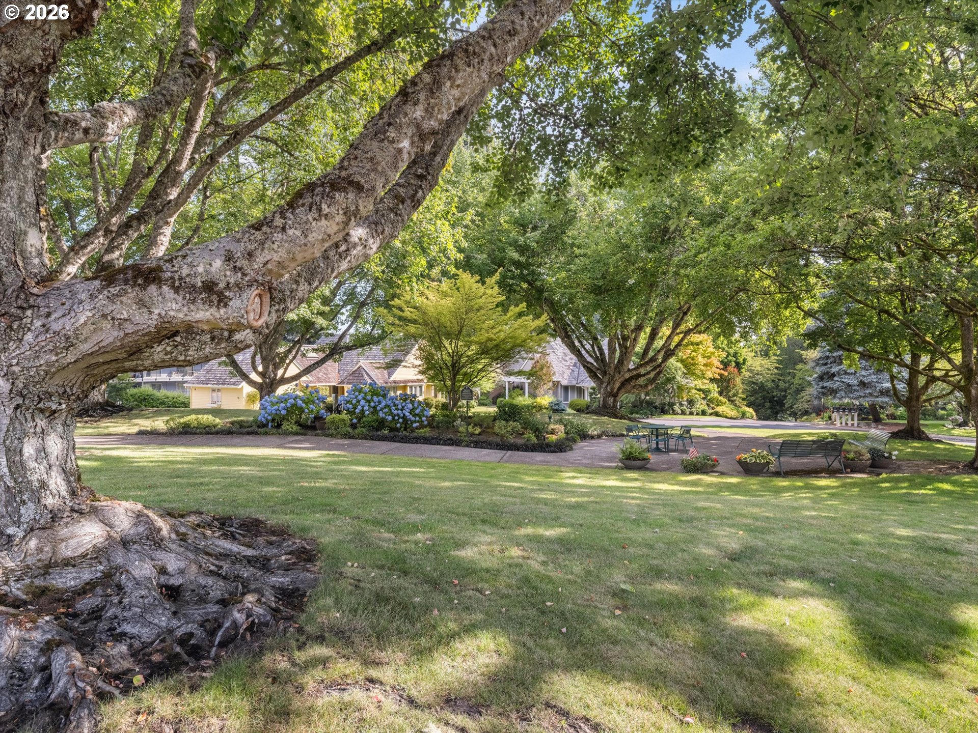 16419 LEXINGTON CT