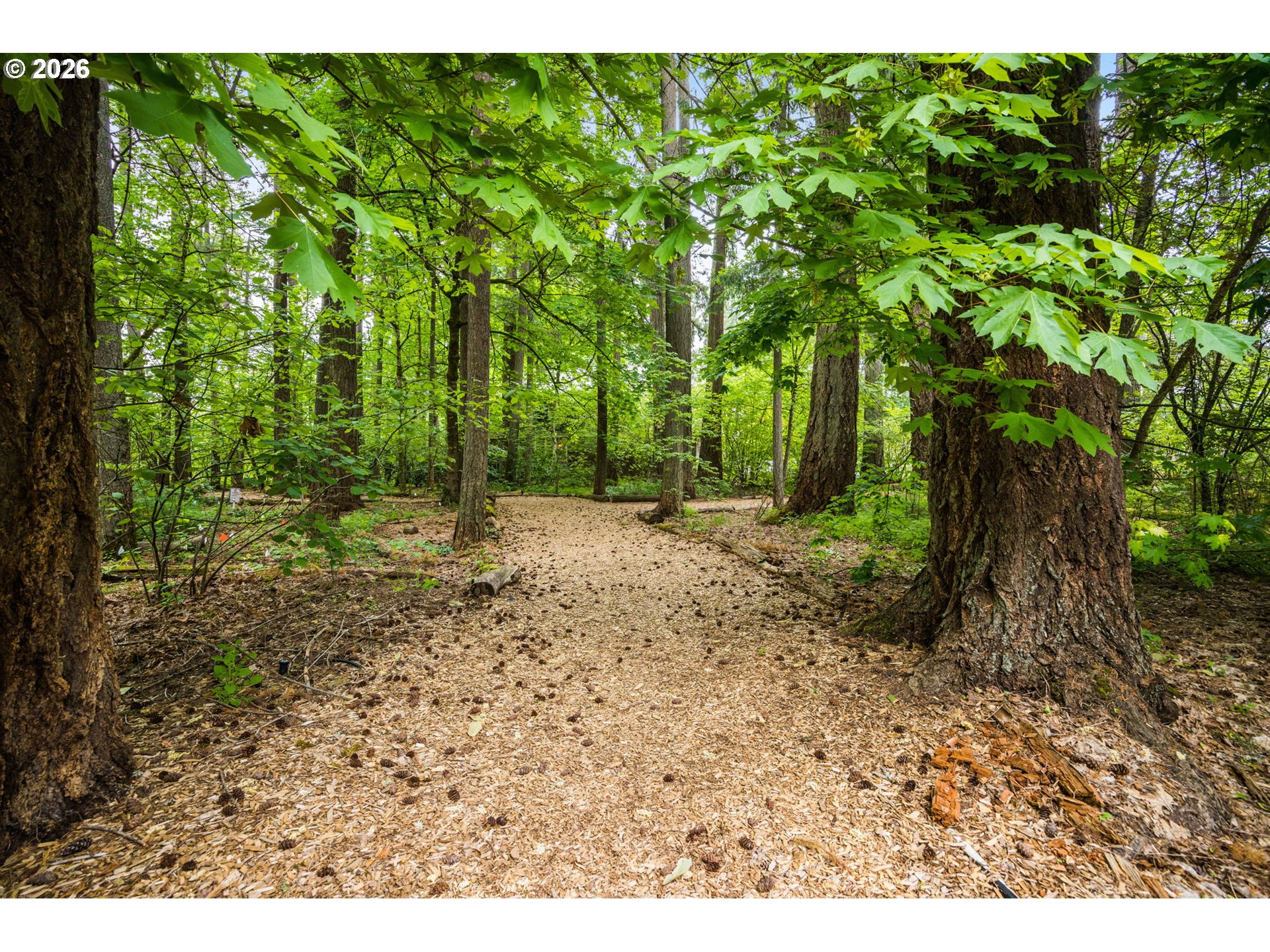 4661 TRILLIUM WOODS
