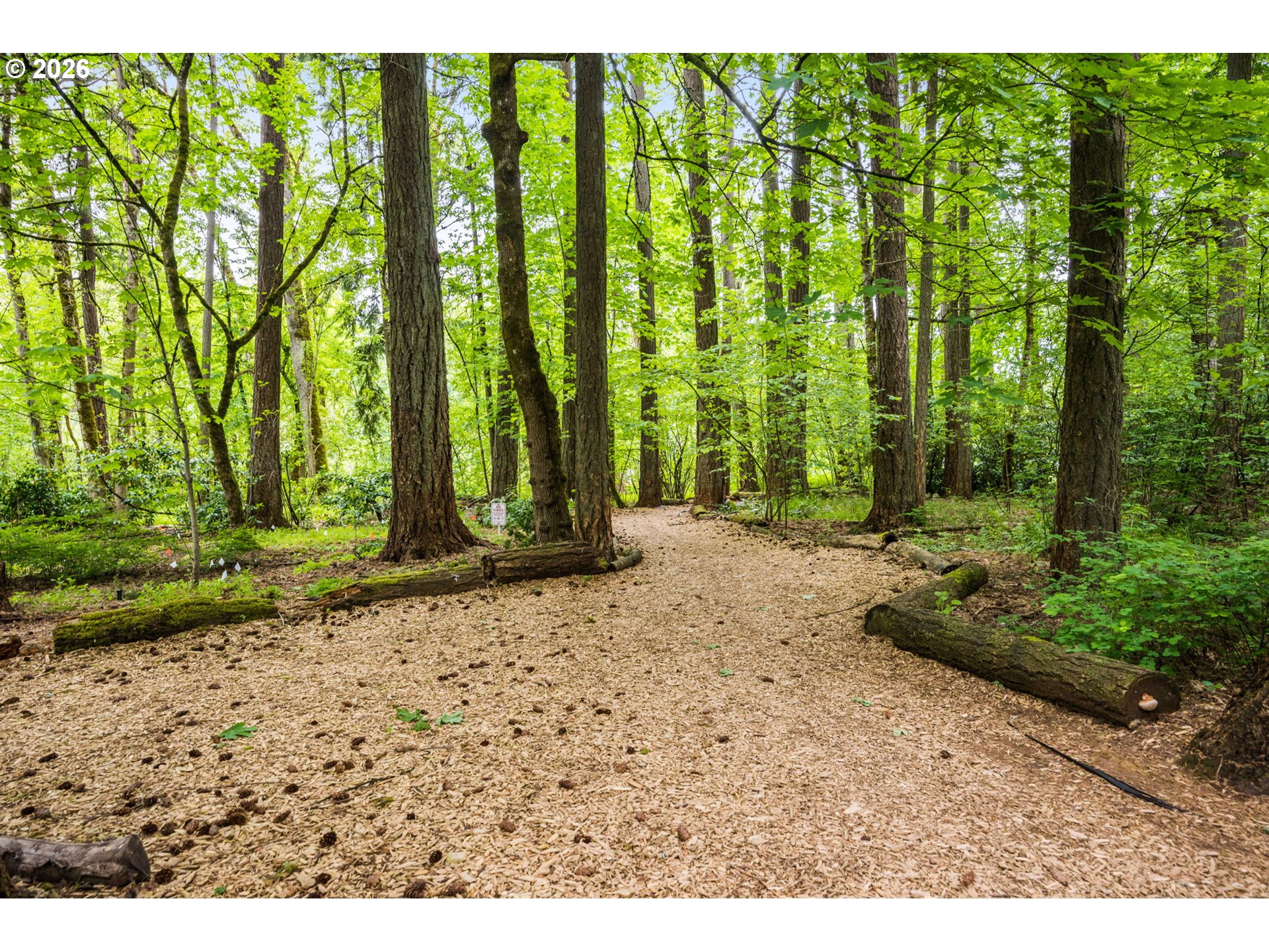 4661 TRILLIUM WOODS