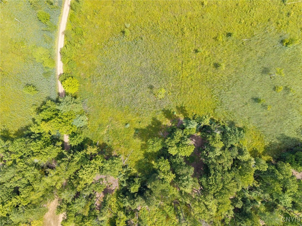 Aerial view of a grassy parcel bordered by trees, with a dirt track crossing the field.
