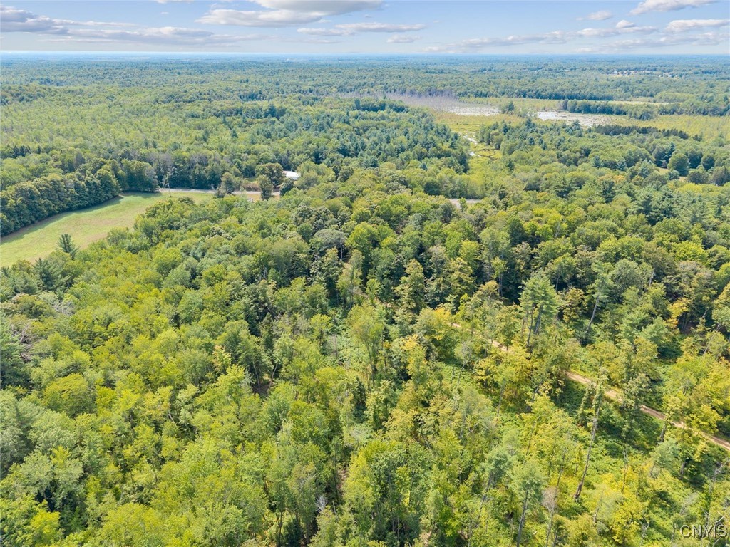 Aerial view of wooded land with a grassy clearing and a dirt track.