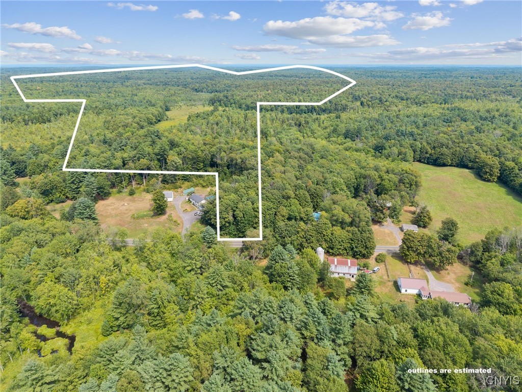 Aerial view of wooded land outlined in white, with a clearing, wetlands, and buildings along the road.