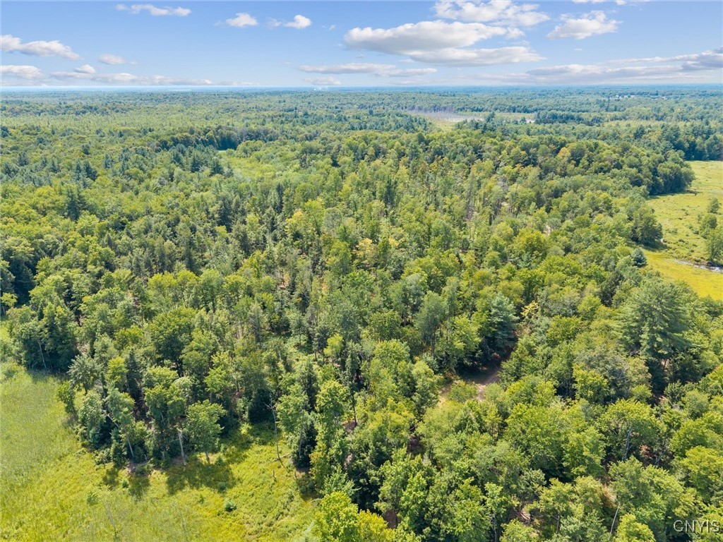 Aerial view of wooded land with open grassy clearings and fields on the horizon.