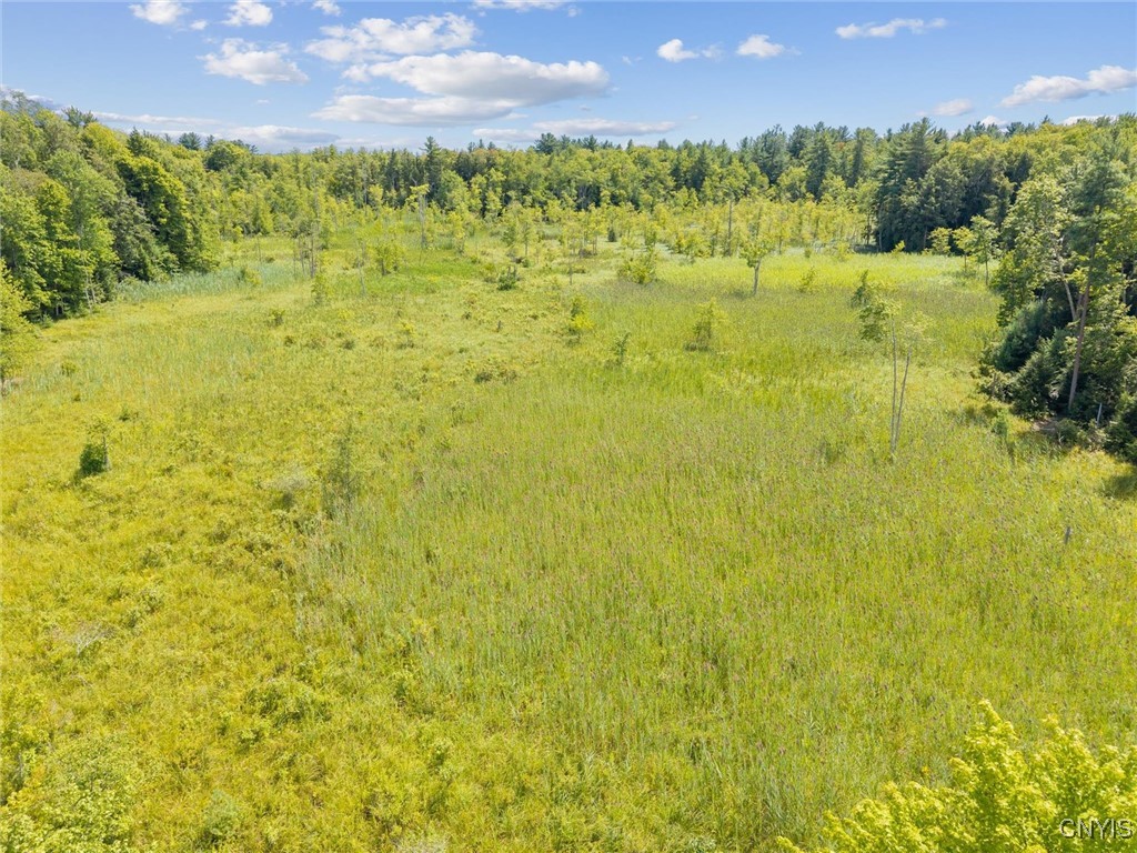 Aerial view of a grassy clearing bordered by dense trees.