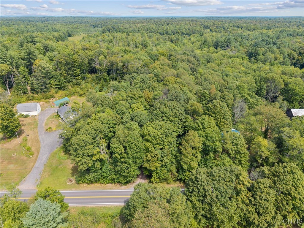 Aerial view of wooded land beside a two-lane road, with a driveway and small outbuildings.