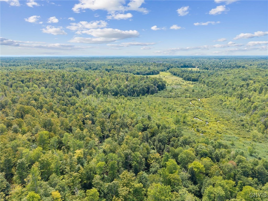 Aerial view of forested land with a winding creek through wetlands and an open meadow.