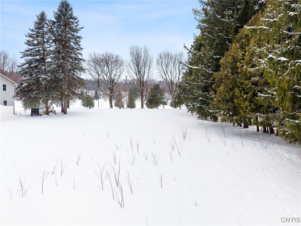 Snow-covered yard bordered by evergreen trees, with bare trees and neighboring homes in the distance.