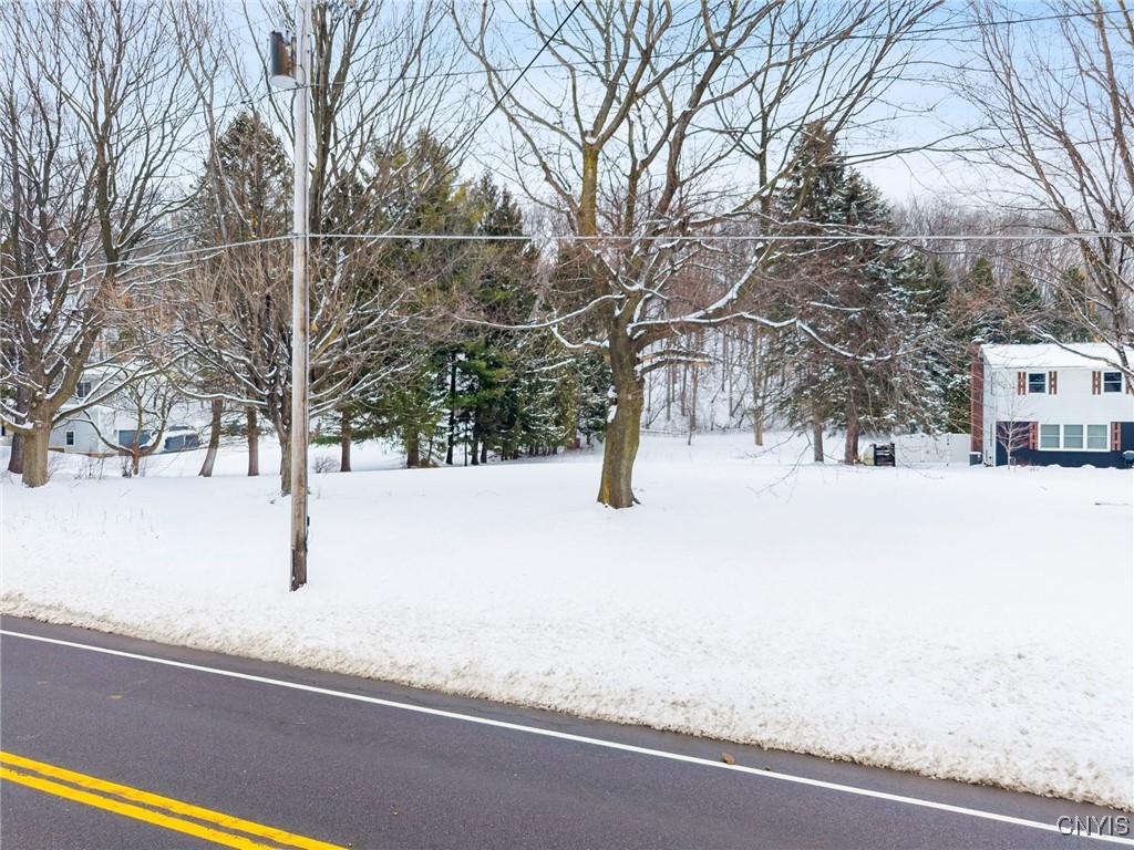 Snow-covered residential lot with mature trees beside a paved road.