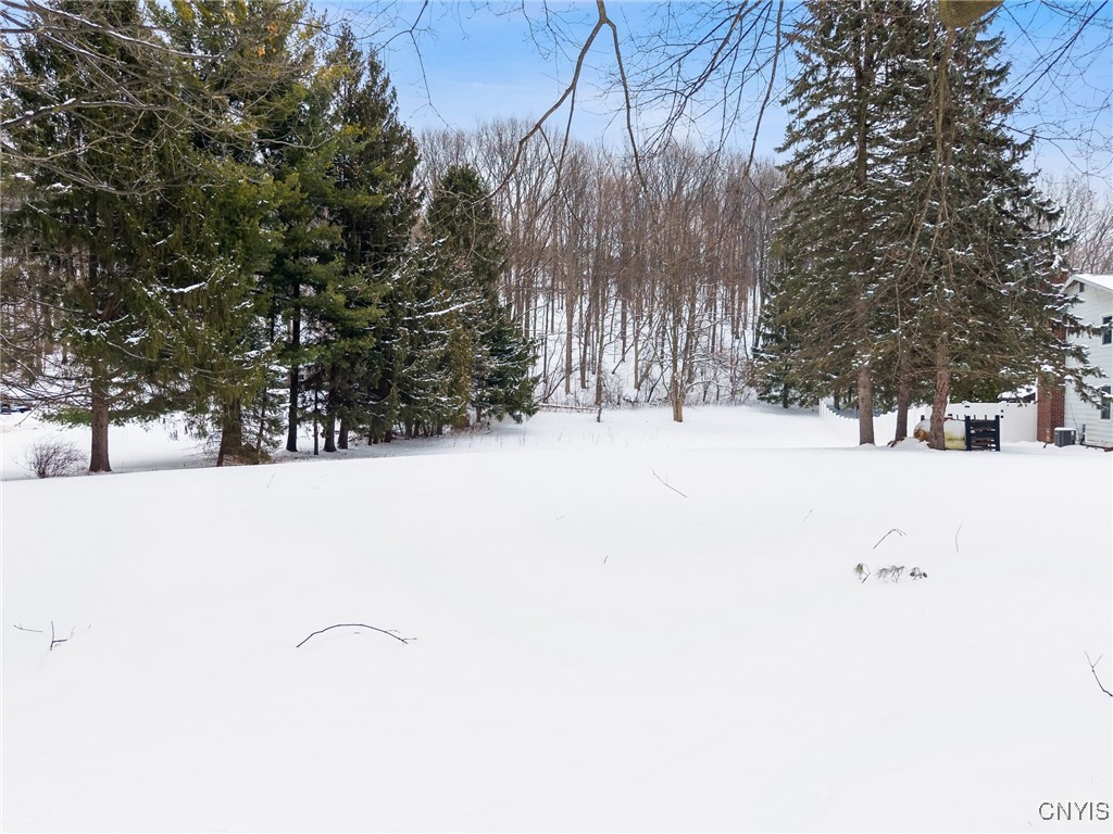Snow-covered yard bordered by evergreens and leafless woods beside a house.
