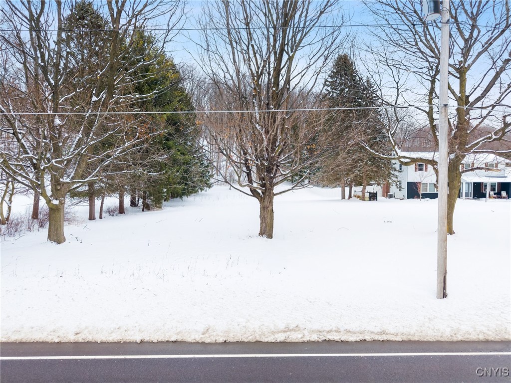 Snow-covered yard with mature trees and a house set back from the road.
