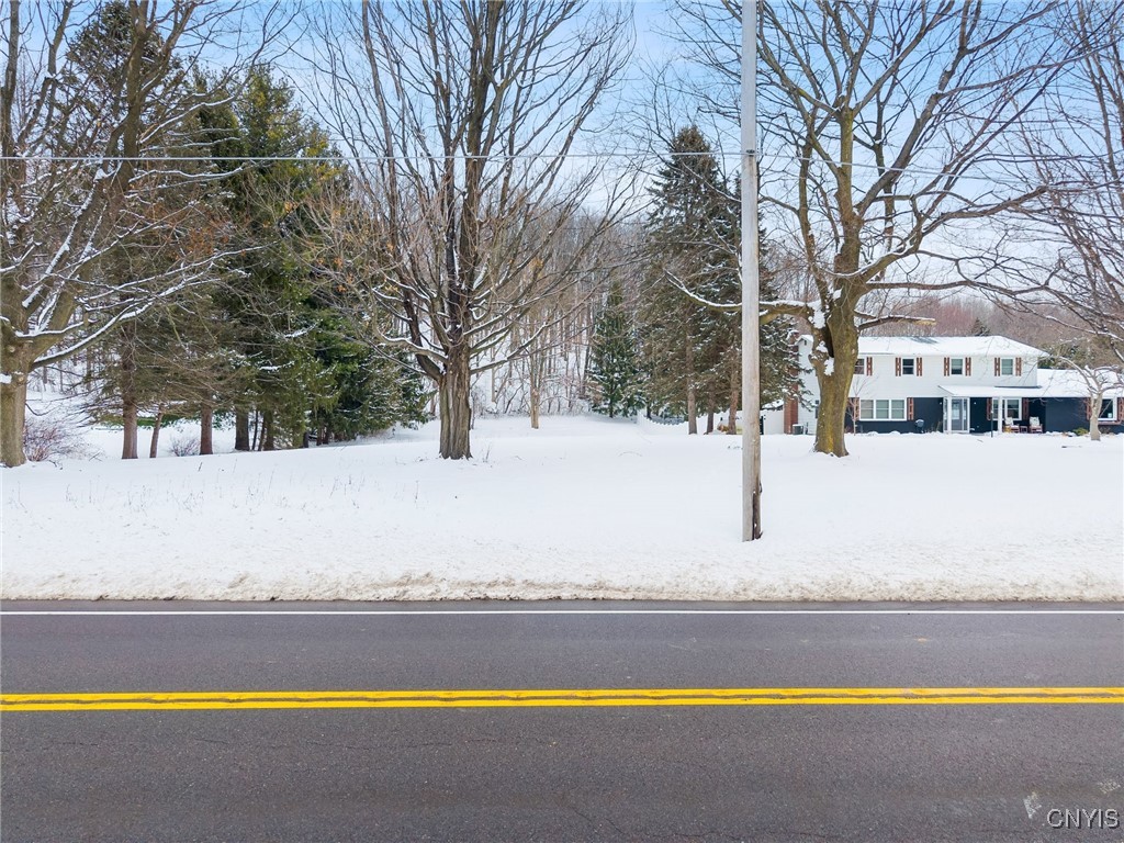 Two-story house beyond a snowy lawn and bare trees, viewed across a road.