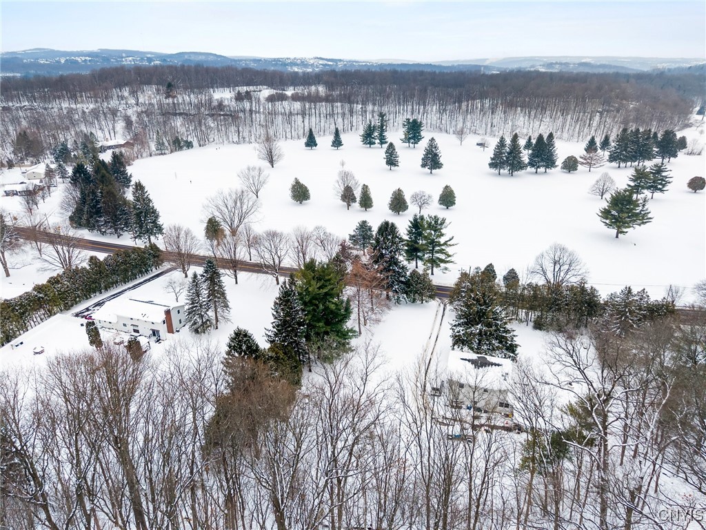 Snow-covered open field with scattered evergreens, a road, nearby homes, and woods beyond.