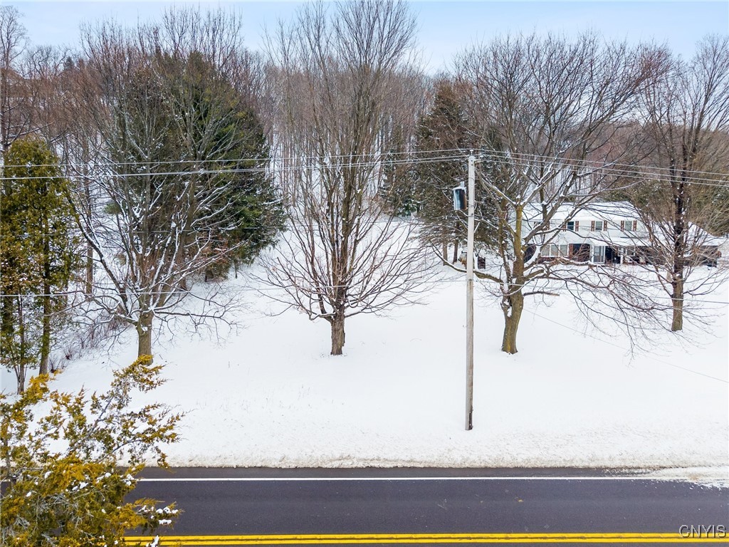Snow-covered front yard with leafless trees and a house set back from the road.