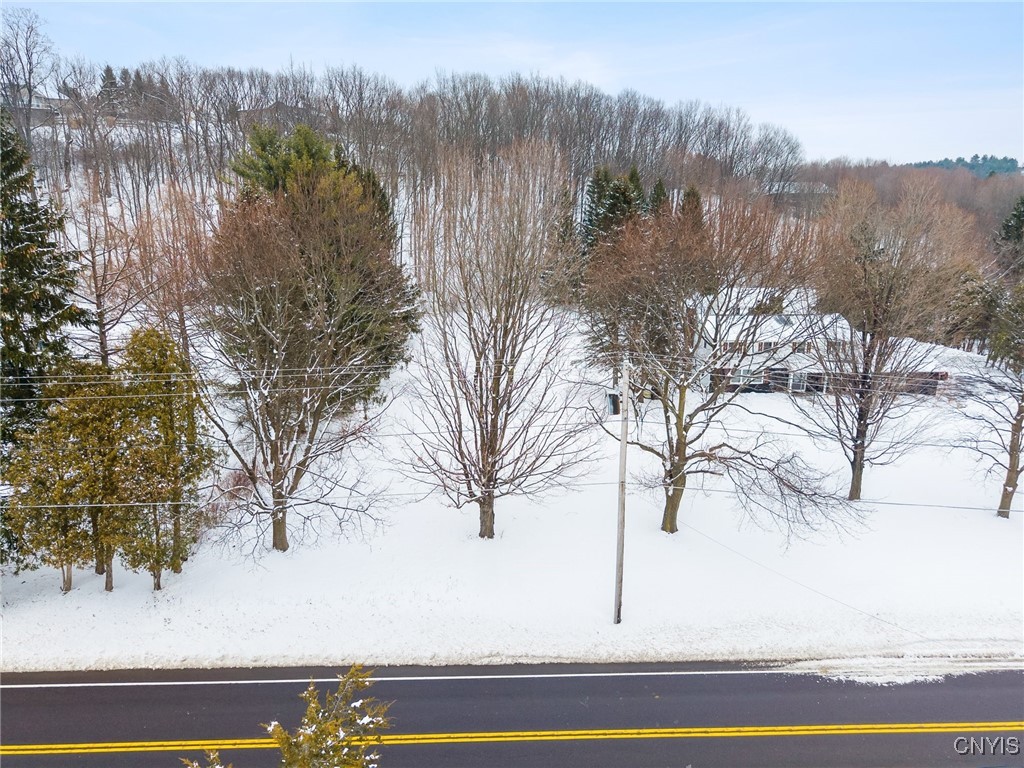 Snow-covered property with mature trees beside a two-lane road.
