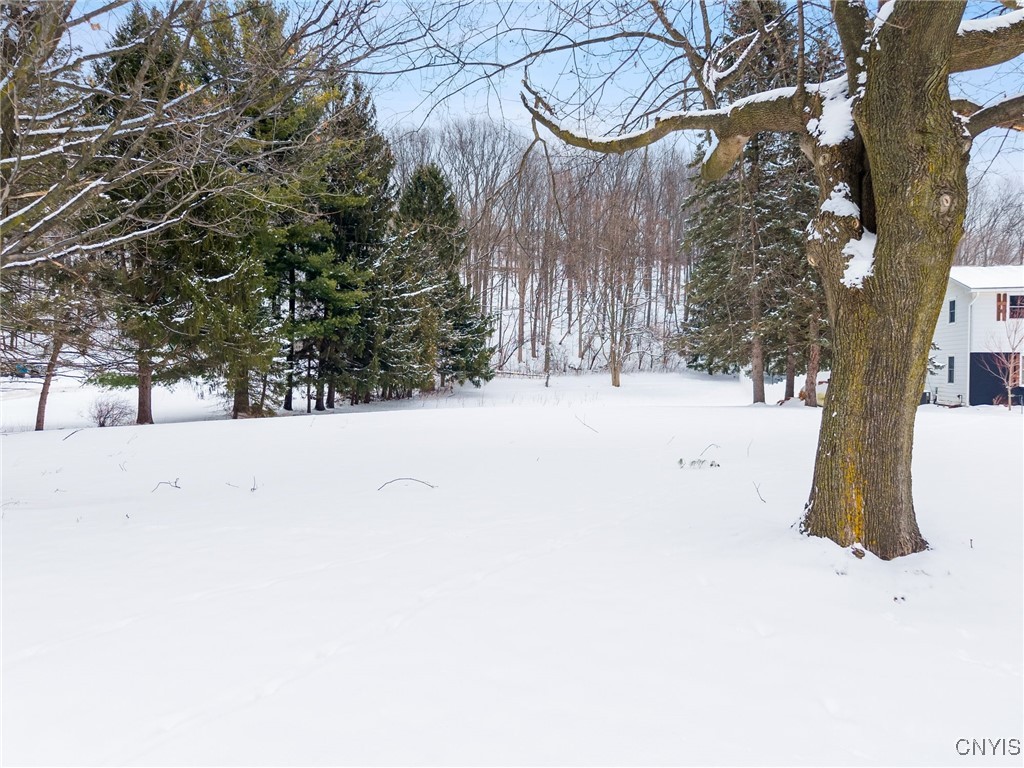 Snow-covered yard with mature trees and a wooded backdrop beside a white house.