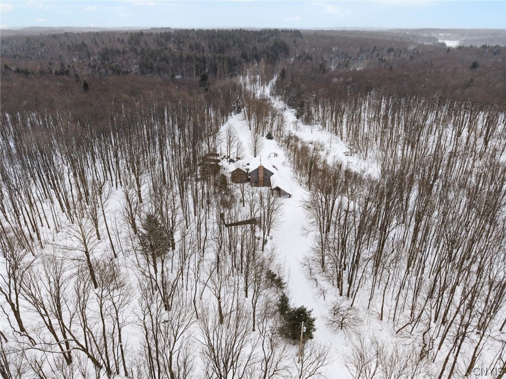 Aerial view of a snow-covered home and winding driveway surrounded by dense leafless woods.