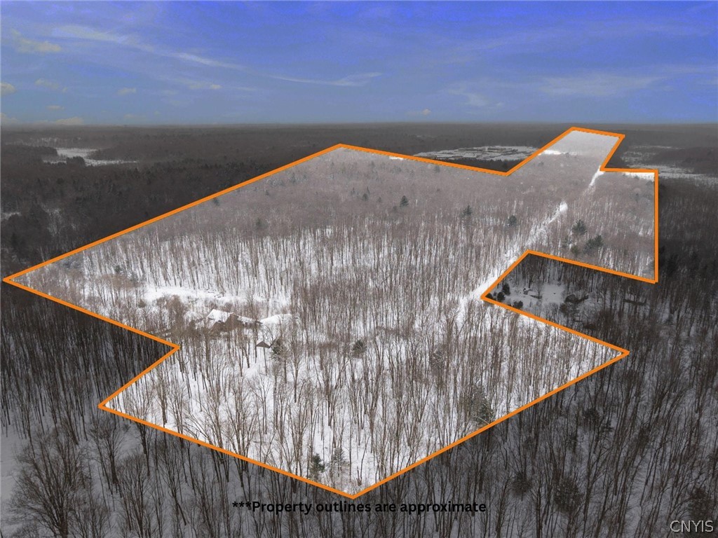 Aerial view of a snow-covered wooded property with approximate boundaries outlined in orange.