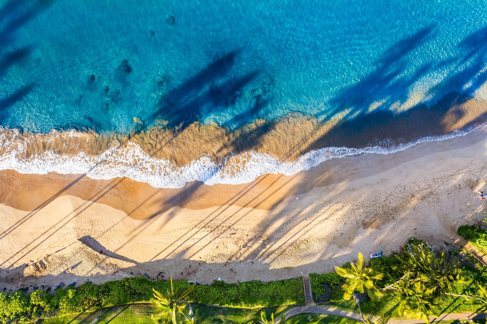 3600 WAILEA ALANUI Dr Unit: 201