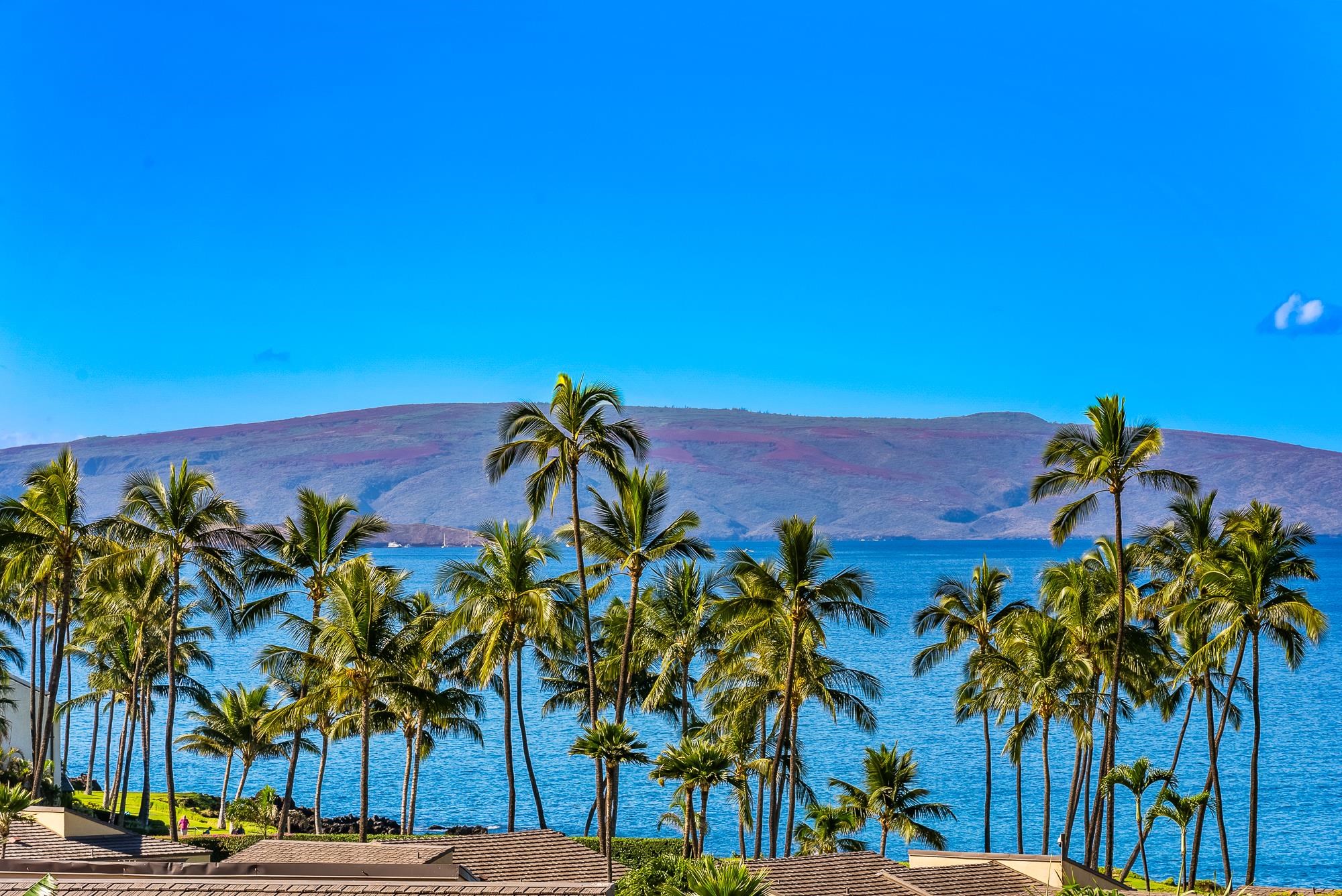 3600 WAILEA ALANUI Dr Unit: 201