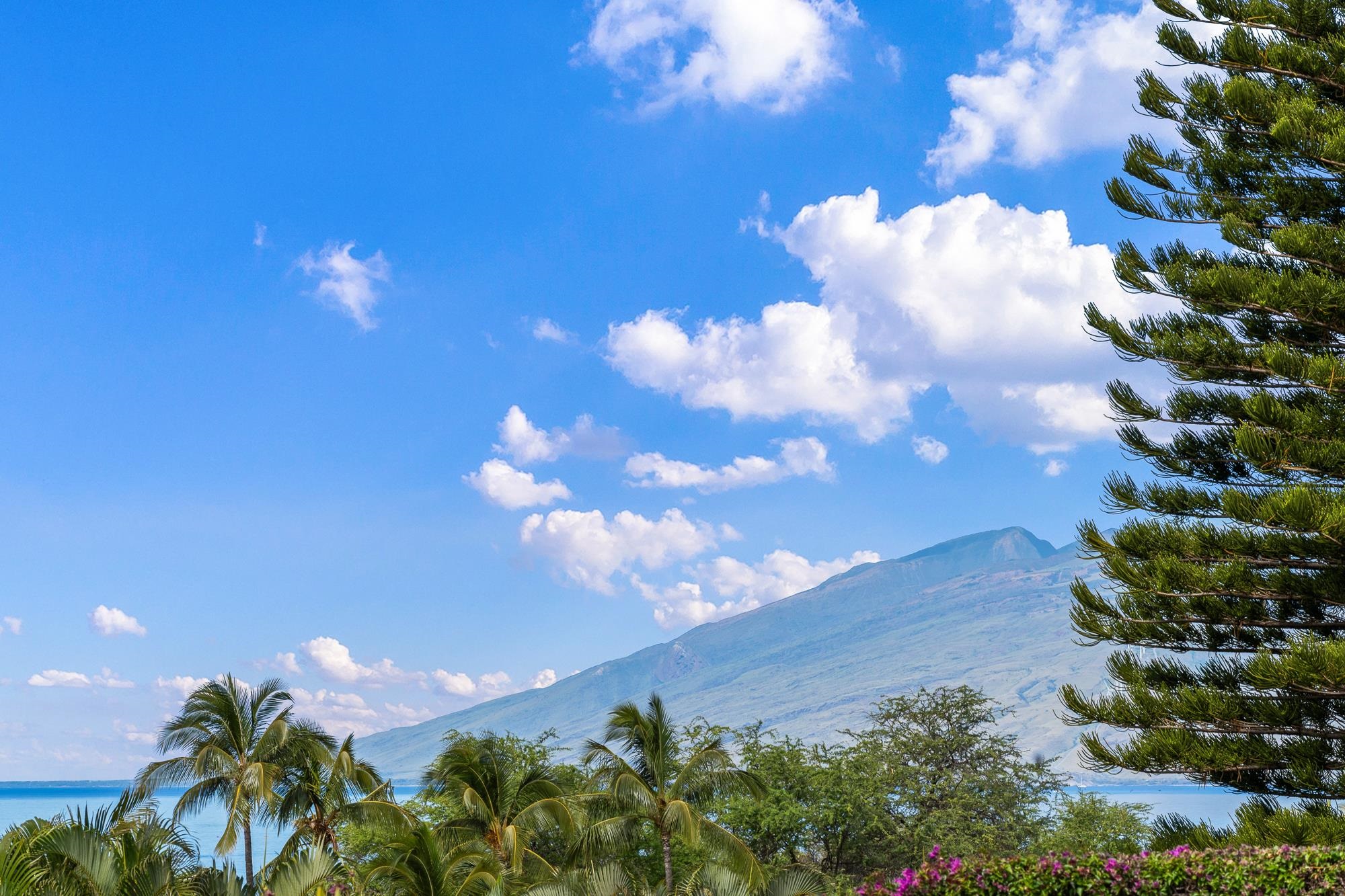 148 Kai La Pl Unit: 31A