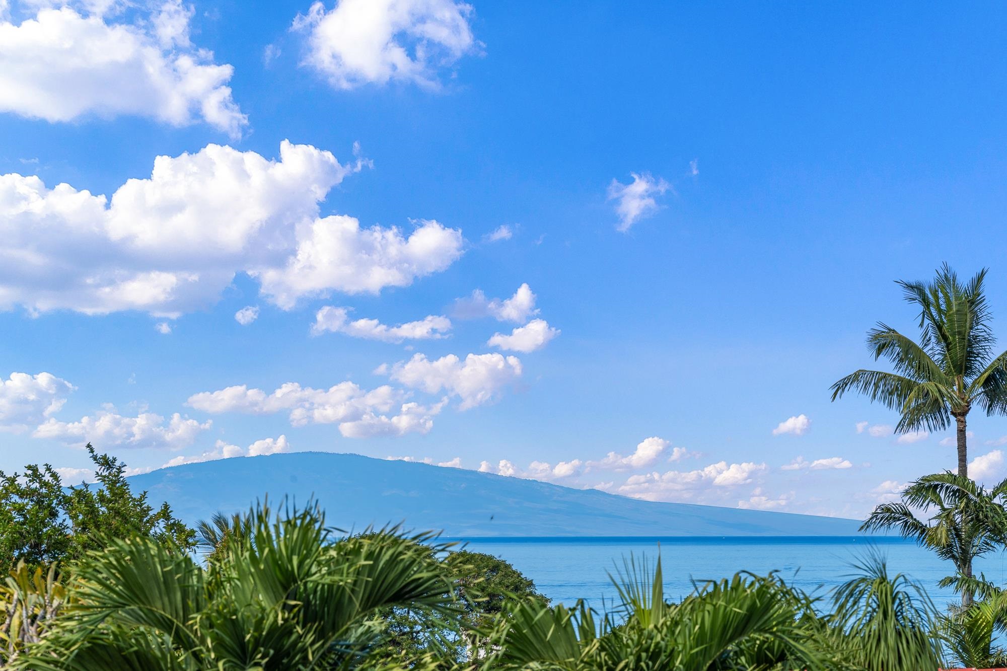 148 Kai La Pl Unit: 31A