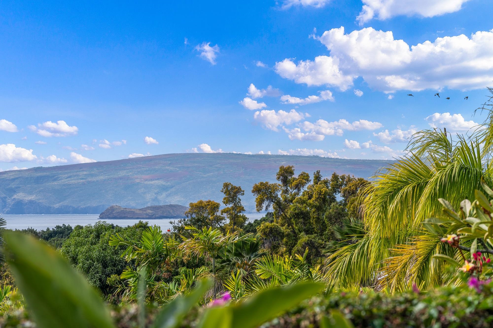 148 Kai La Pl Unit: 31A